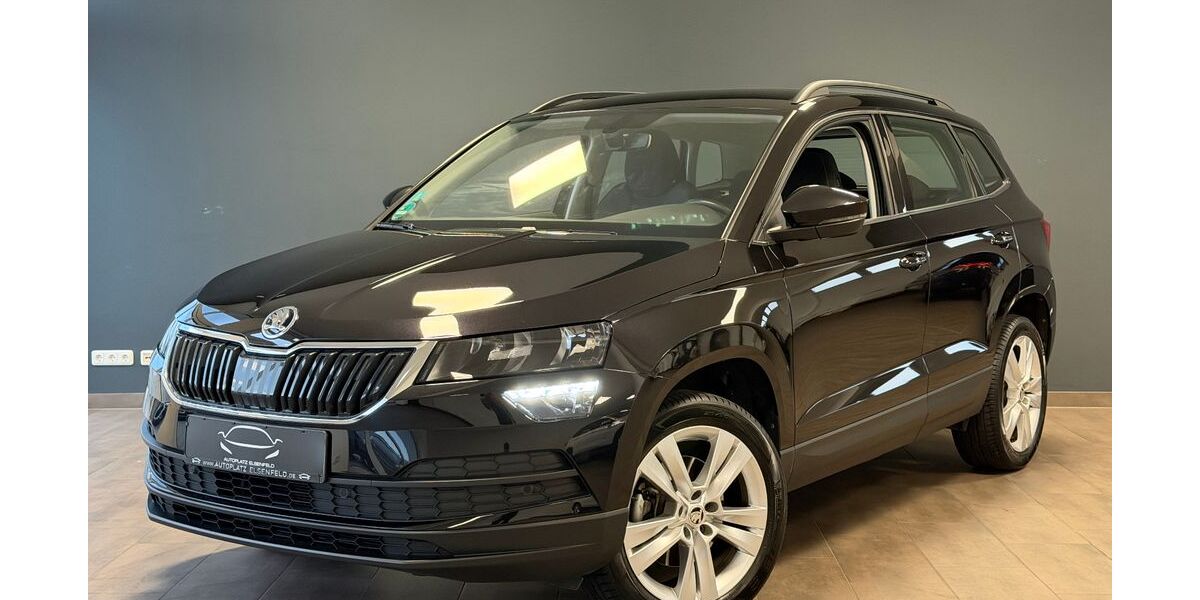 Skoda Karoq 76.634 km 13.390 &euro; Elsenfeld 63820