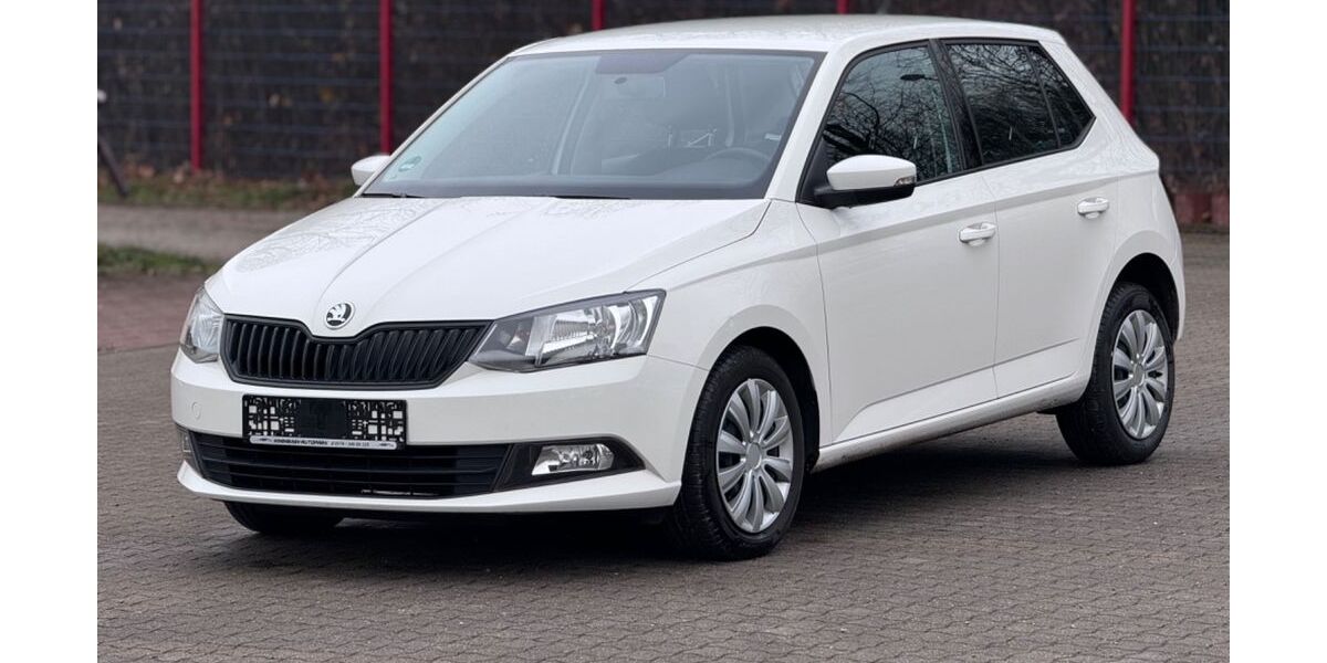 Skoda Fabia 187.000 km 4.900 &euro; Windhausen 37539