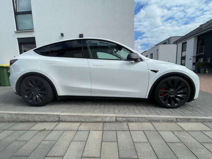 Model Y