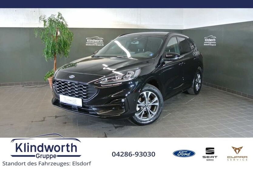 Kuga