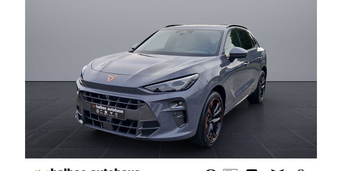 Cupra Terramar 4.900 km 46.420 &euro; Halberstadt 38820