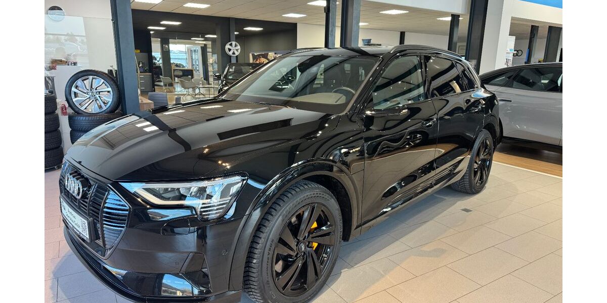Audi e-tron 97.110 km 29.980 &euro; Bad Endorf 83093