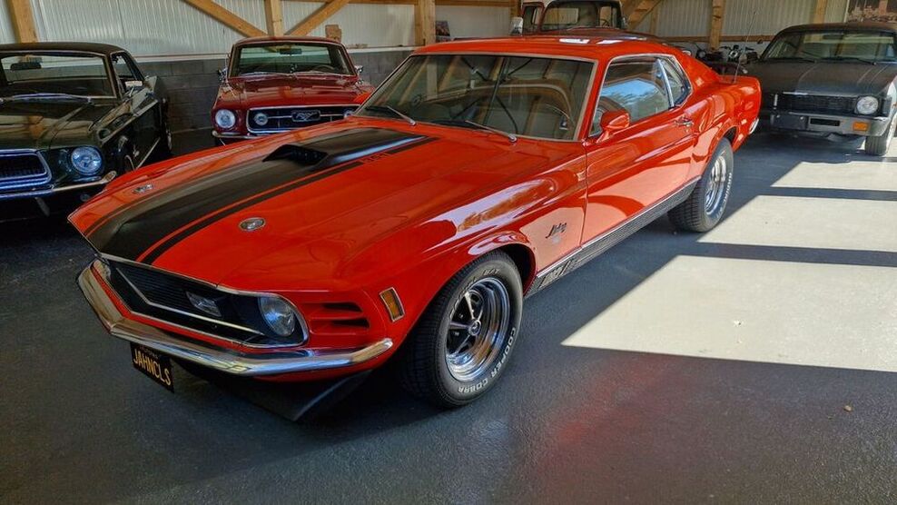 Mustang