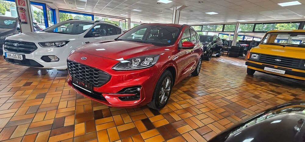 Kuga