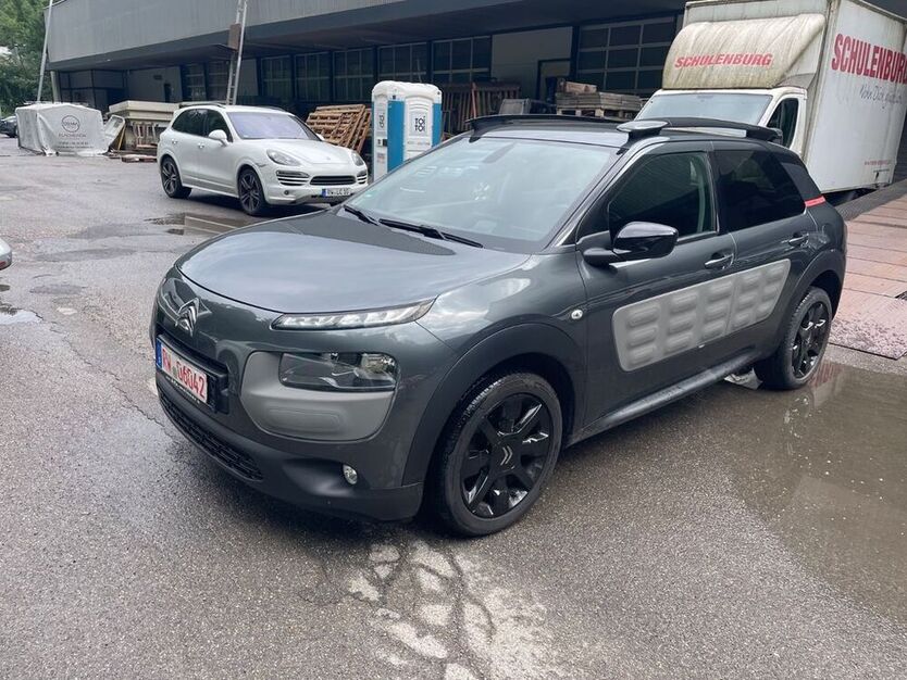 C4 Cactus