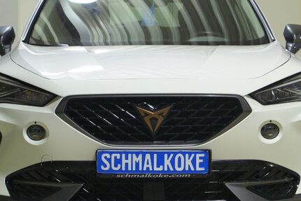 Cupra Formentor 44.100 km 19.950 &euro; Braunschweig 38112