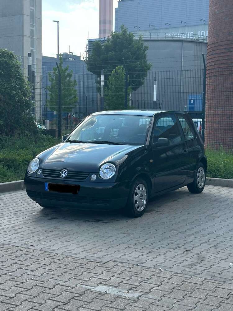 Lupo