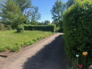 Mehrfamilienhaus, Wohnhaus Altendorf - 8 Zimmer, 230 m&sup2;, 430.000&euro; | Angebot:26903870