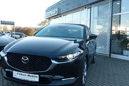 Mazda CX-30 1.500 km 29.990 &euro; Aschersleben 06449