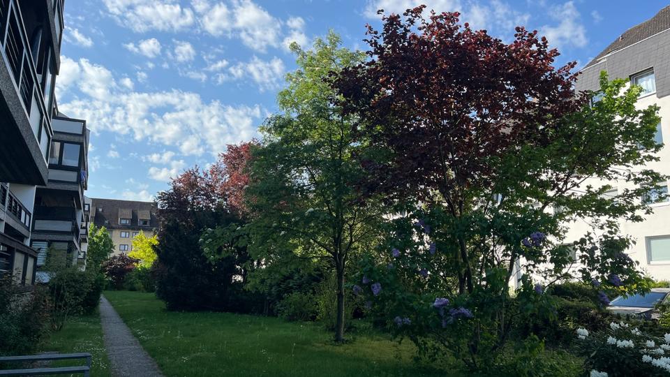 Freundliche helle 84 m² 3-Zimmer ETW im 2 OG mit großer Loggia 3 zimmer