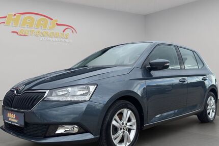 Skoda Fabia 53.605 km 11.790 &euro; Ebersdorf b.Coburg 96237