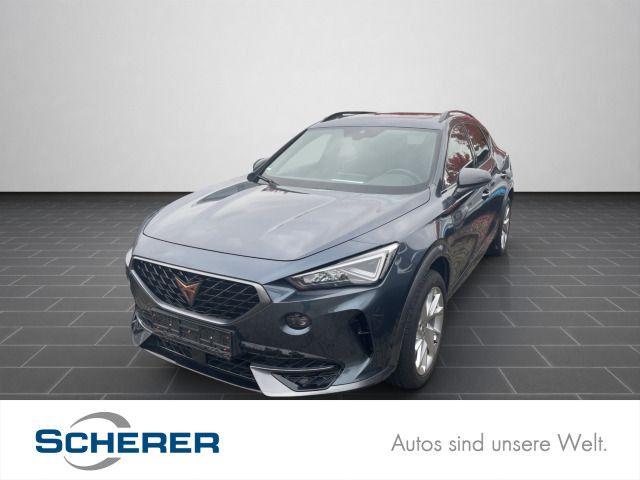 Cupra Formentor 48.132 km 23.500 € Ladenburg 68526
