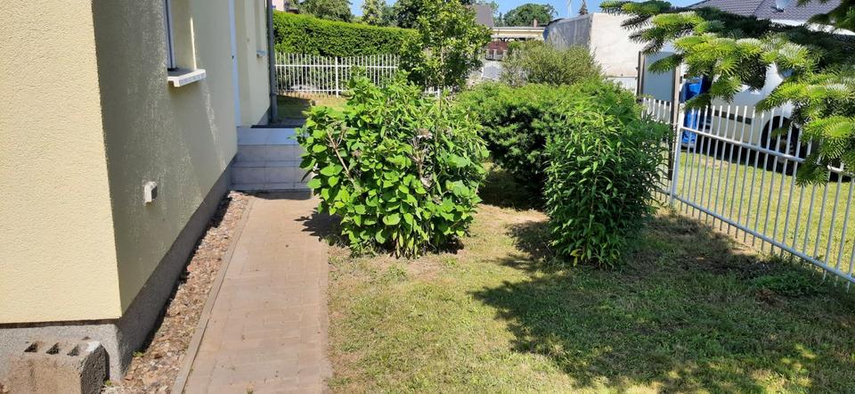 Einfamilienhaus Lebus - 4 Zimmer, 124 m&sup2;, 295.000&euro; | Angebot:26511647
