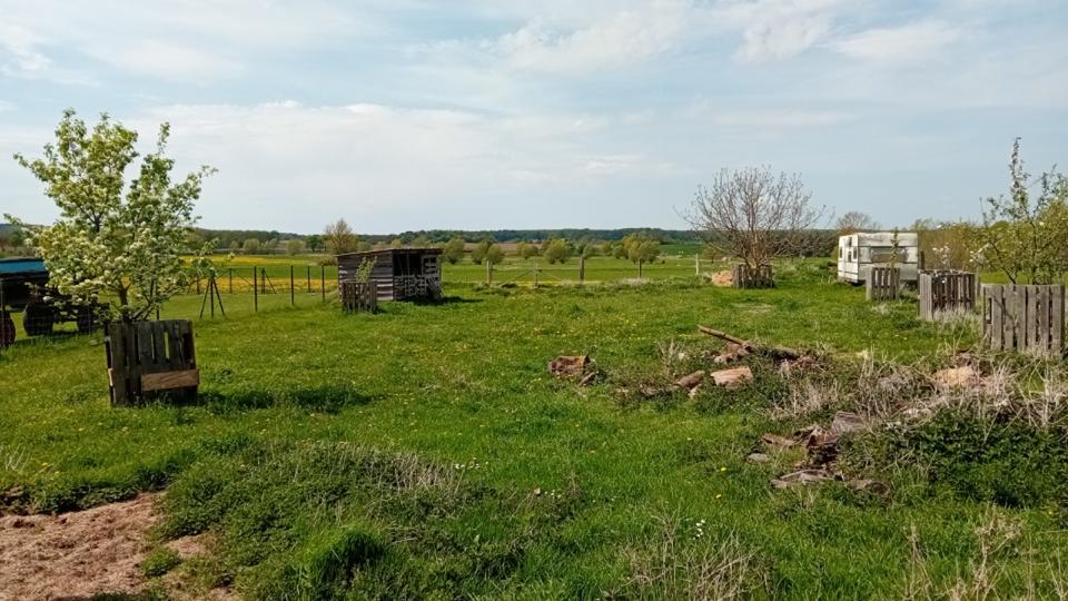 Bauernhaus, Landhaus Waren (Müritz) - 3 Zimmer, 100 m&sup2;, 159.000&euro; | Angebot:25332988