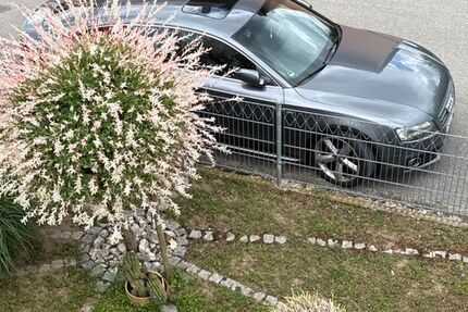 Audi A5 195.000 km 8.666 &euro; Rosstal 90574