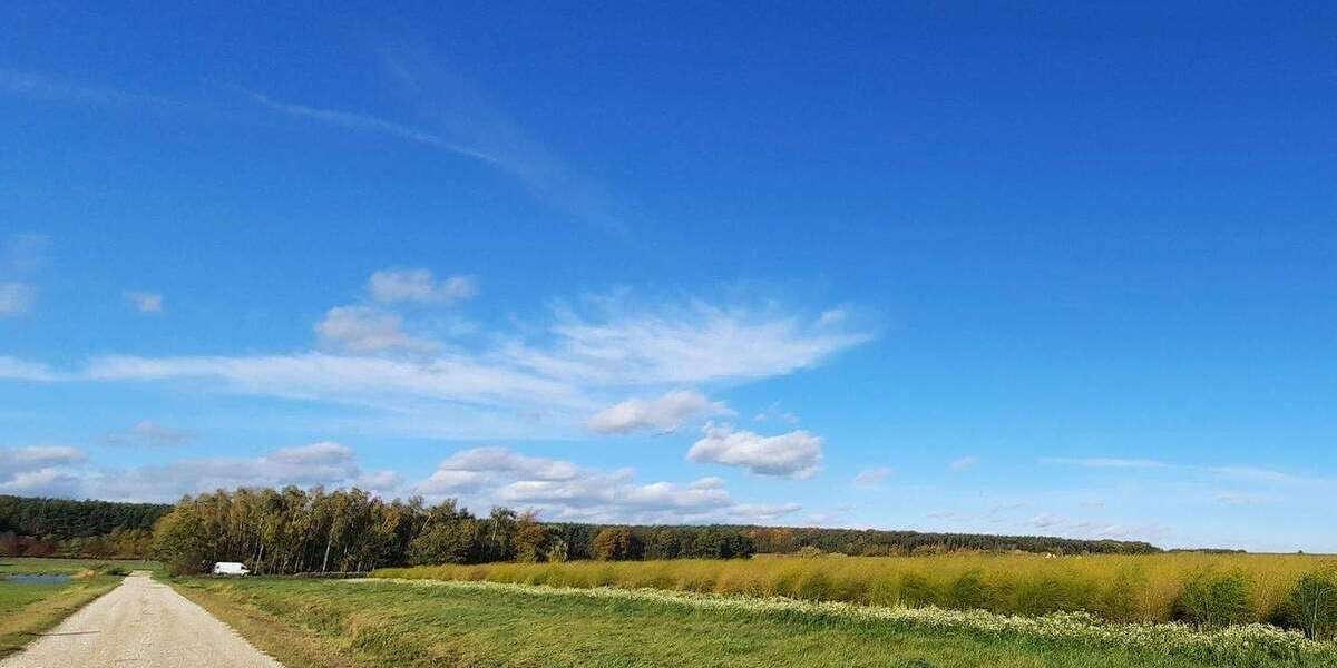 Doppelhaushälfte Oberreichenbach - 6 Zimmer, 196 m&sup2;, 2.490&euro; | Angebot:25355700