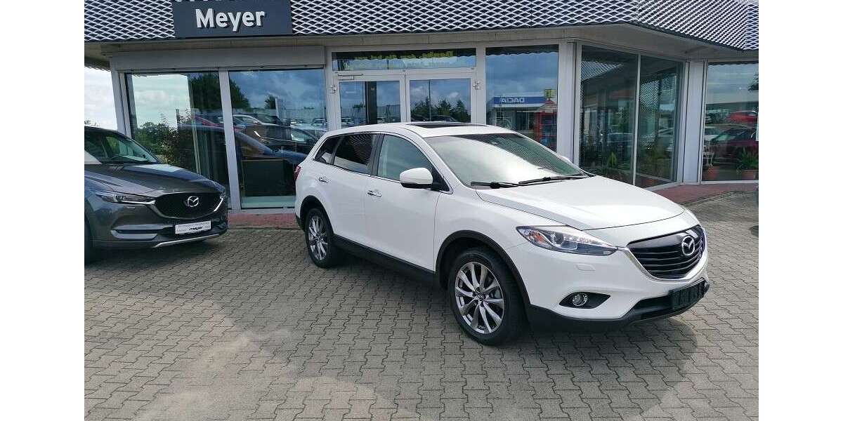 Mazda CX-9 159.788 km 13.530 &euro; Klötze 38486