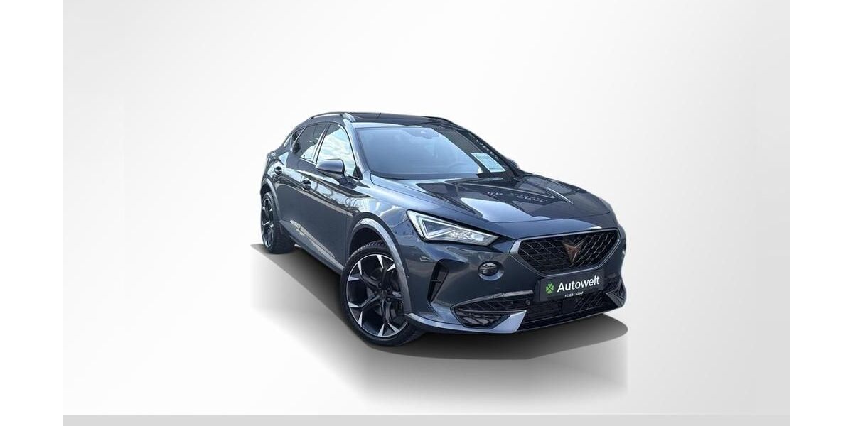 Cupra Formentor 60.850 km 24.890 &euro; Roth 91154