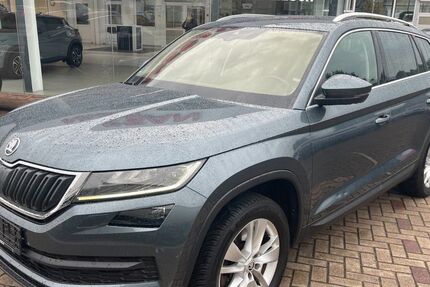Skoda Kodiaq 260.000 km 14.695 &euro; Wallenhorst 49134