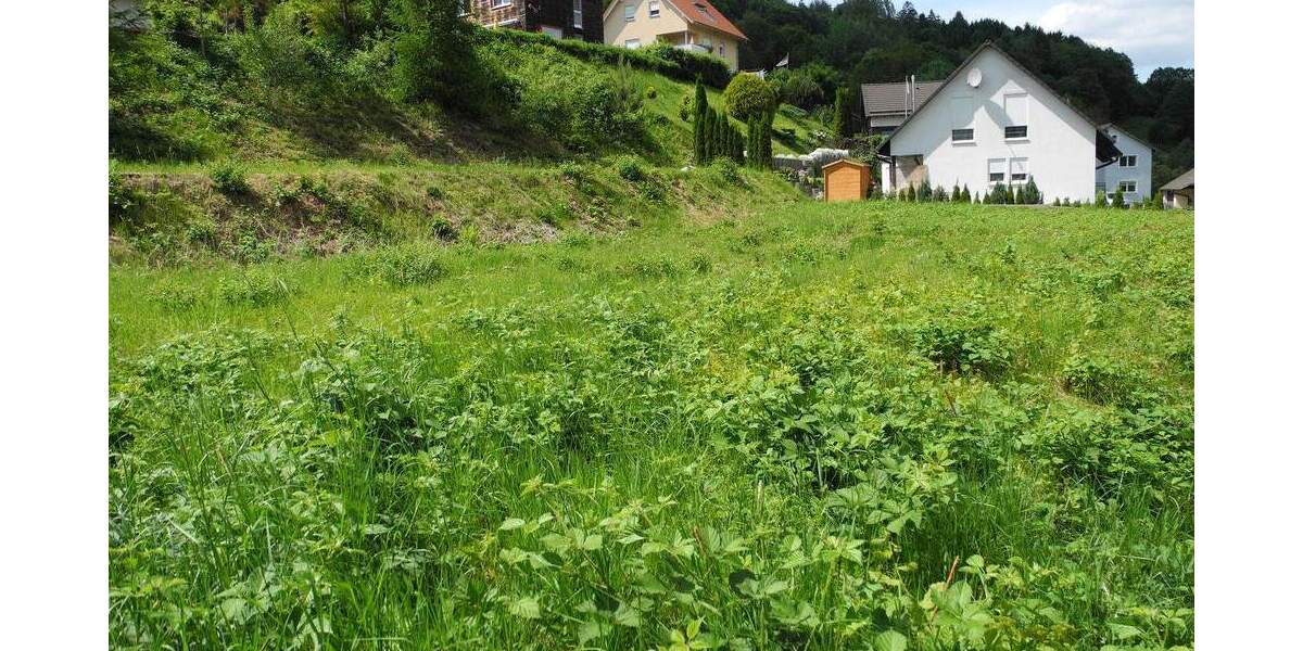 Grundstück Bad Brückenau - 45.000&euro; | Angebot:23967372