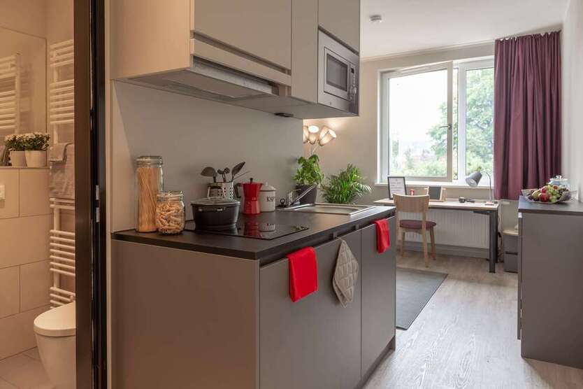 Wohnung zum Mieten in Leipzig 519 € 20 m²