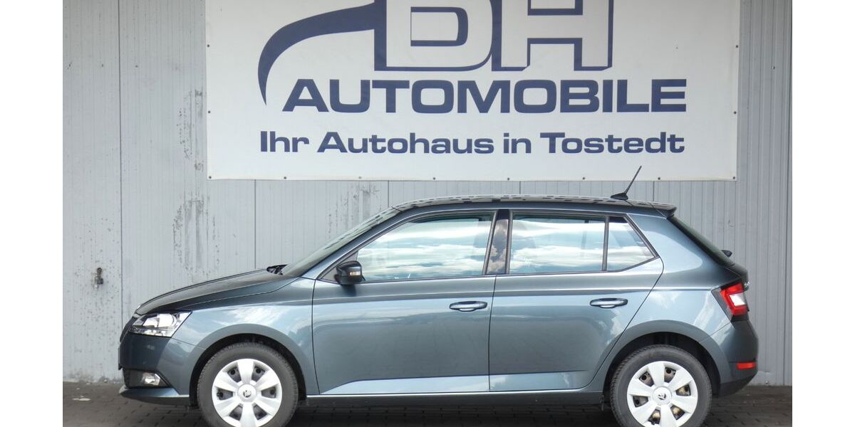 Skoda Fabia 144.488 km 8.490 &euro; Tostedt 21255