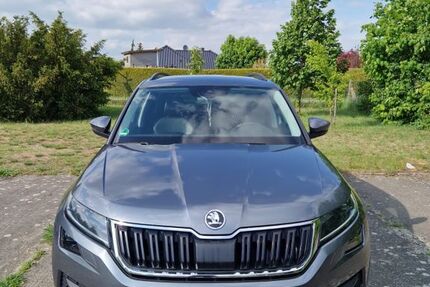 Skoda Kodiaq 125.000 km 20.000 &euro; Märkische Heide 15913