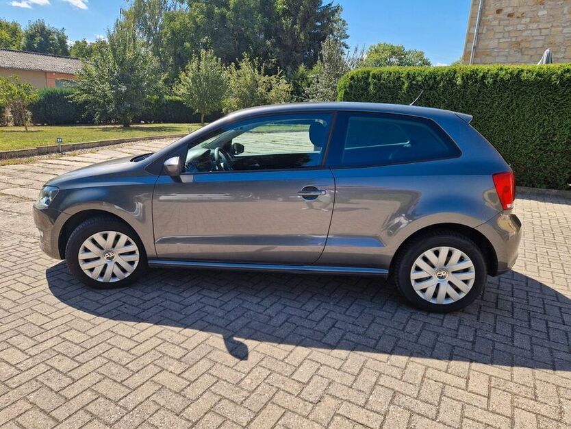 Polo