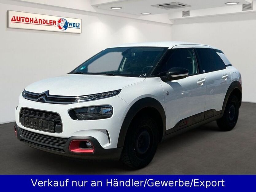 C4 Cactus