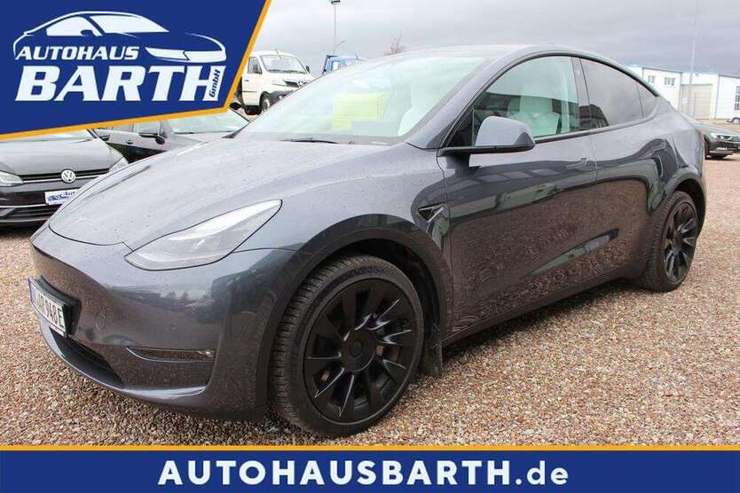 Model Y