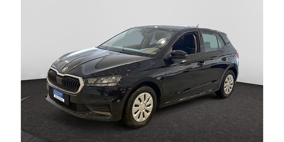 Skoda Fabia 73.600 km 11.960 &euro; Hof 95032