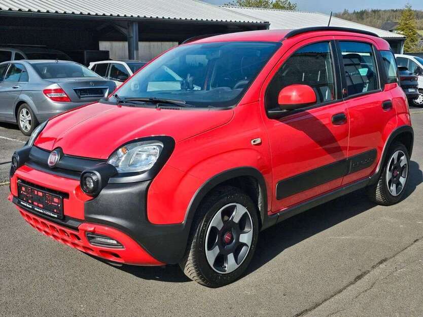 Panda