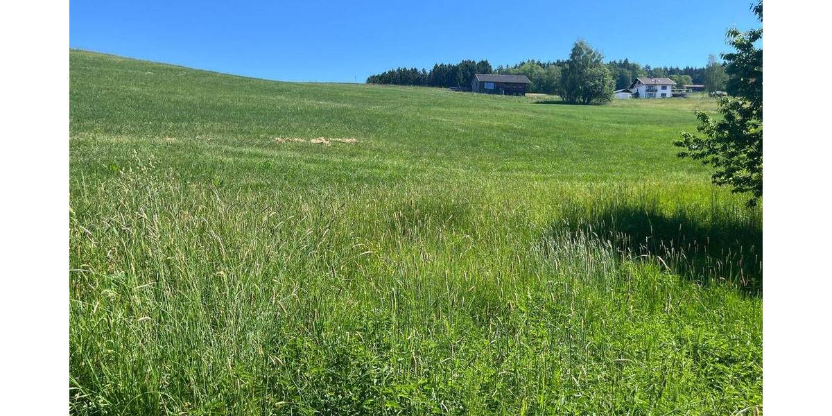 Grundstück Viechtach Wiesing - 109.000&euro; | Angebot:26806328
