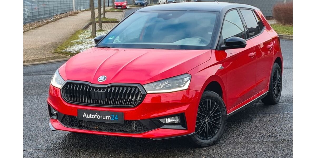 Skoda Fabia 14.500 km 18.999 &euro; Jülich 52428