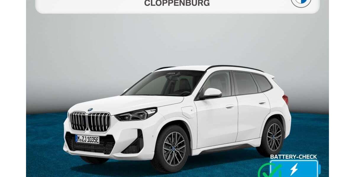 BMW X1 24.393 km 49.980 &euro; Bad Kreuznach 55543