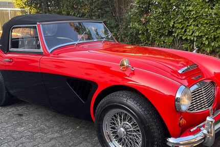 Austin Healey Andere 5.000 km 48.500 &euro; Bensheim 64625