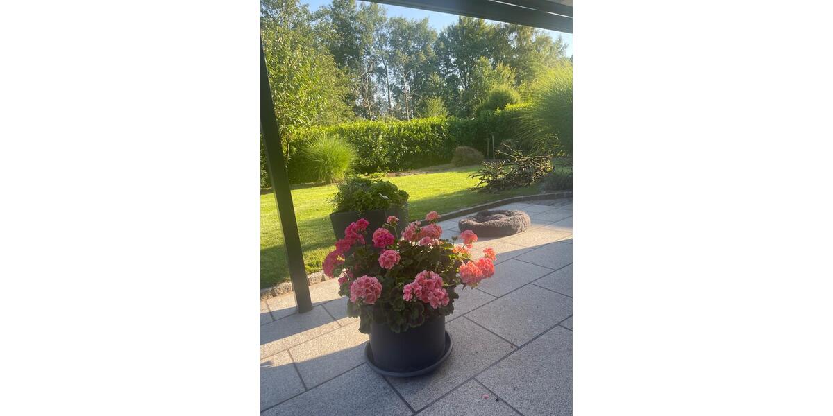 Einfamilienhaus Schneverdingen - 7 Zimmer, 625.000&euro; | Angebot:23173518