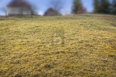 NATURNAH BAUEN IN BAIERSBRONN - Grundstück Baiersbronn | Angebot:26378401
