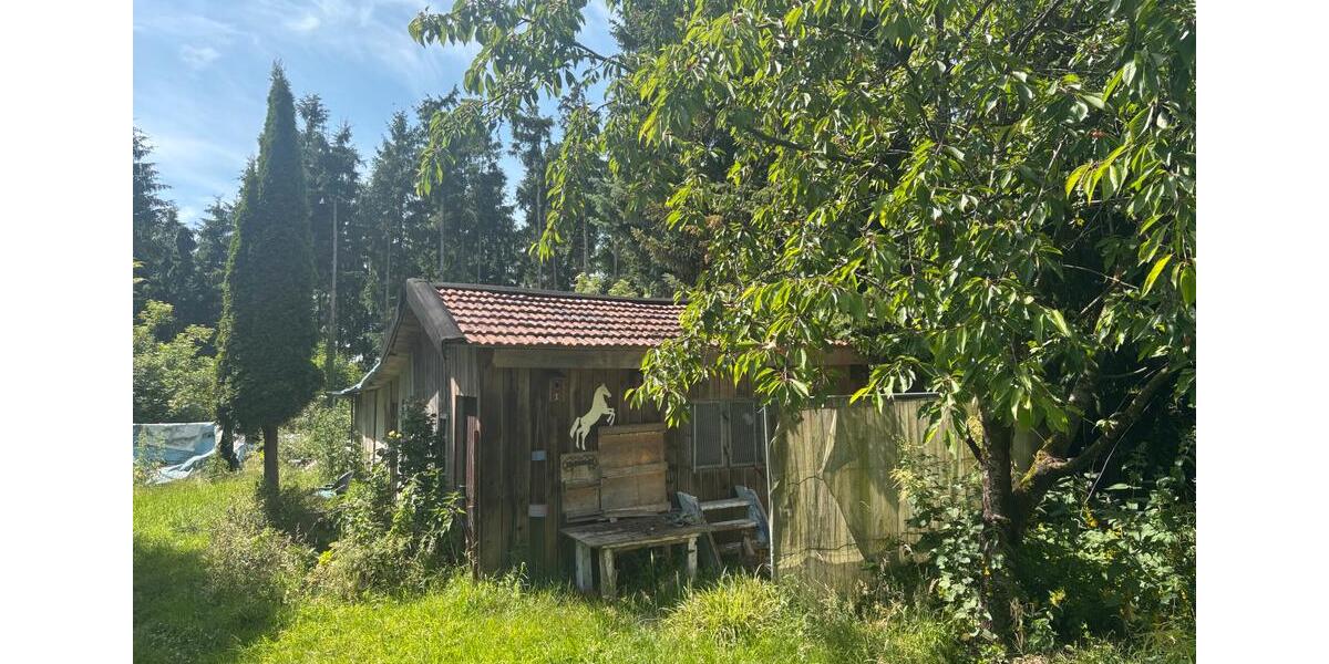 Einfamilienhaus Rhauderfehn - 160.000&euro; | Angebot:26946563