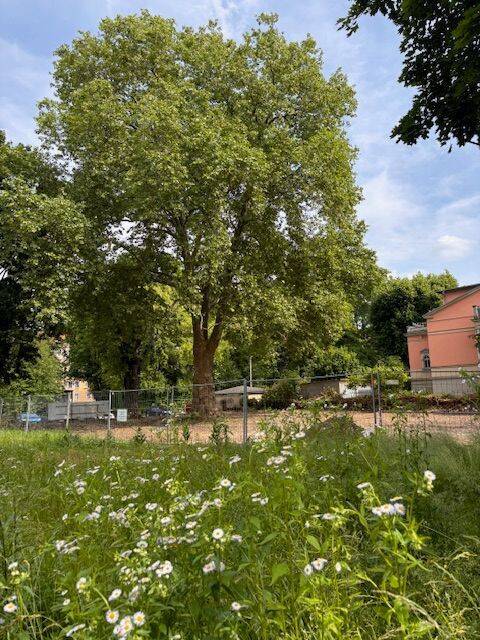 Dresden Neu 4 Zimmerwohnung II.OG Aufzug gr. Balkon KfW40 Luftwärmepumpe Carport uvm.