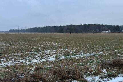 Grundstück Briesen - 26.650&euro; | Angebot:25685166