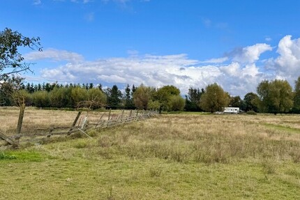 HORN IMMOBILIEN mit Video 5,6 ha bei Löcknitz, als Wildtierfarm, zur Pferdehaltung oder für Alpakas zimmer