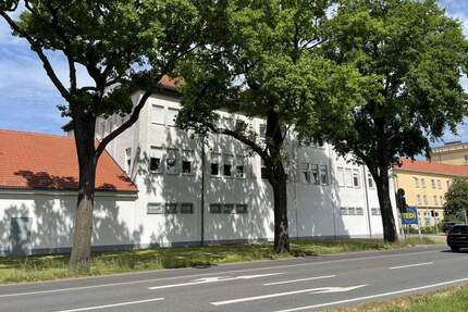 Perfekte 2-Zimmerwohnung mit großem Wohnzimmer und Duschbad in Senftenberg! 2 zimmer