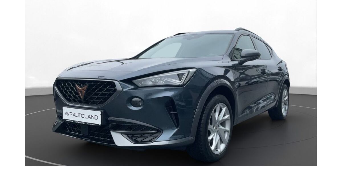 Cupra Formentor 102.572 km 21.890 &euro; Regen 94209