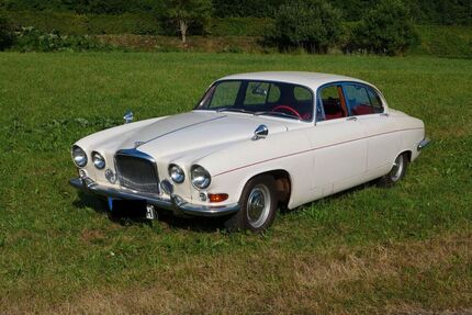 Jaguar Andere