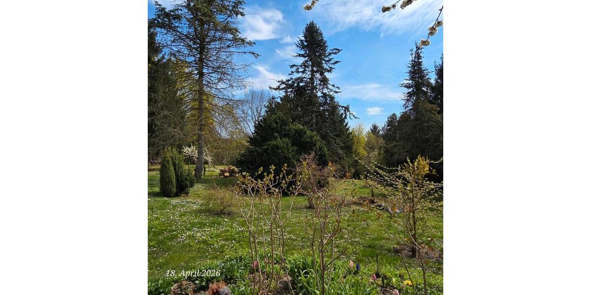 Einfamilienhaus Müncheberg - 8 Zimmer, 320 m&sup2;, 2.600&euro; | Angebot:26666075