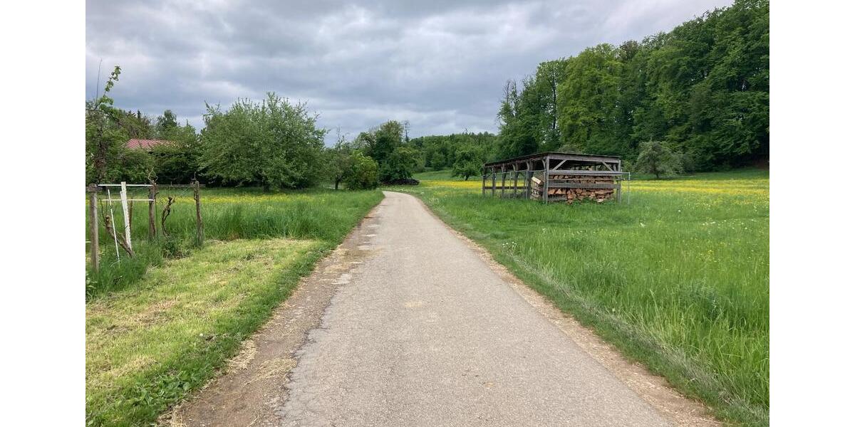 Grundstück Kirchheim unter Teck - 25.000&euro; | Angebot:24998432