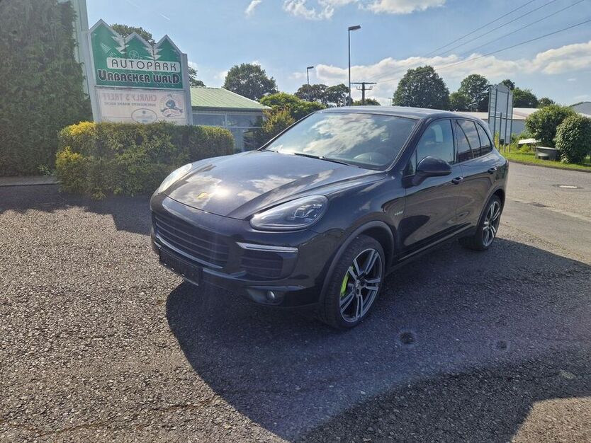 Cayenne