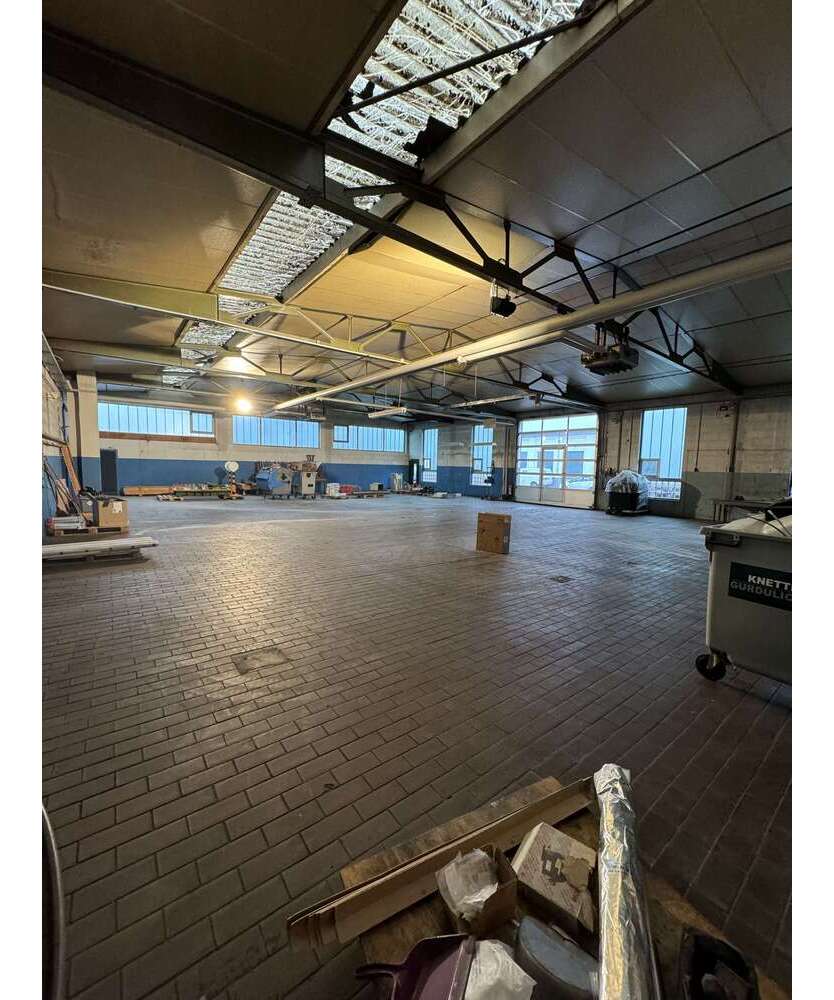 Halle in Mannheim 4.000 € 437 m²