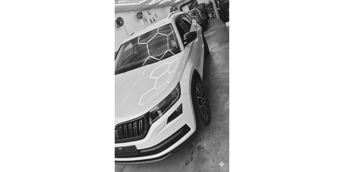 Skoda Kodiaq 152.000 km 19.950 &euro; Iserlohn 58644